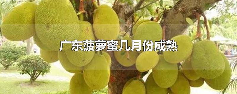 张筱雨扒开大腿无遮挡 相关产品