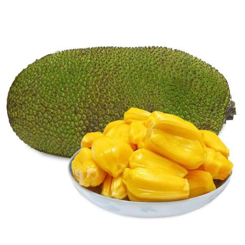99精品久久99久久久久 相关产品