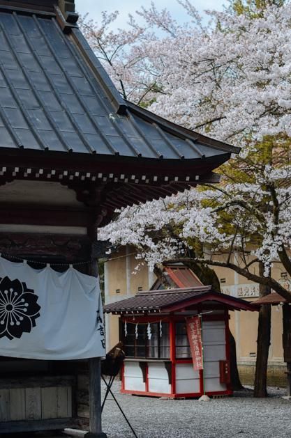 伟大杰作 相关产品