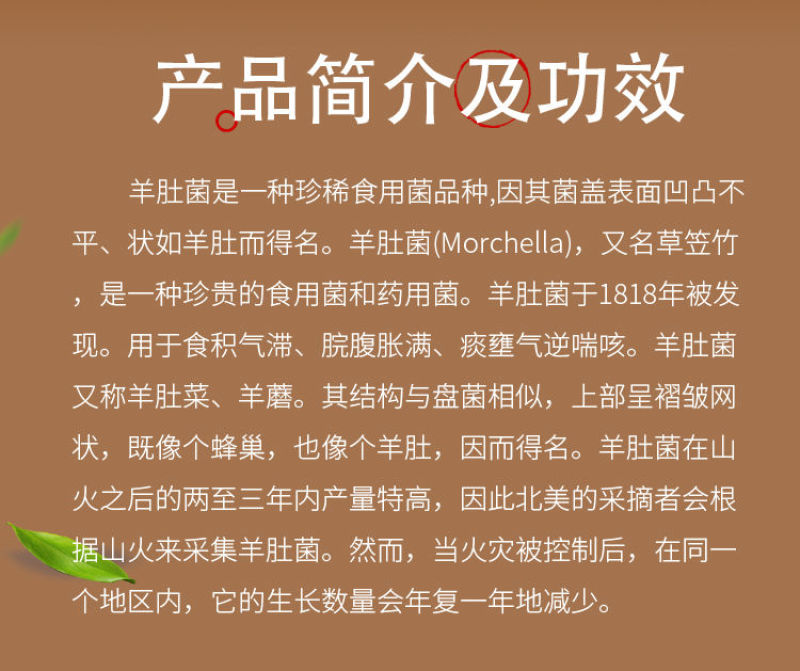 中文字幕一精品亚洲无线一区 相关产品