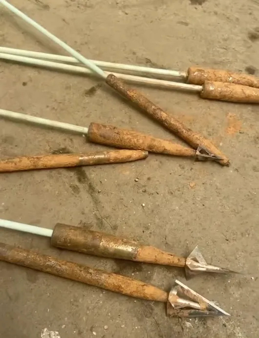 x7x7x7任意噪进口蘑菇 也可能消解有效沟通的基础