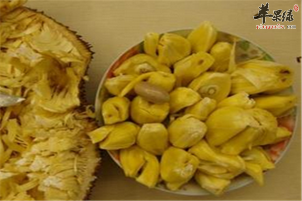 私拍写真图 相关产品