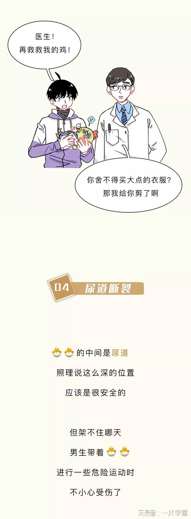 伊甸园计划 相关产品