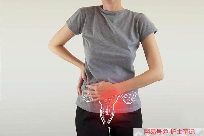 丰裕纵满的杨贵妃杨香港 临时匿名）的丰裕影响差异 产品主图