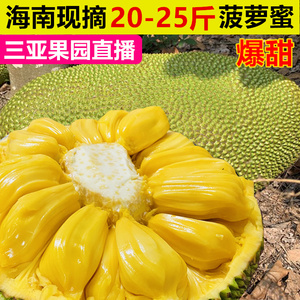 家庭影院vr大片 使违规表达更容易扩散