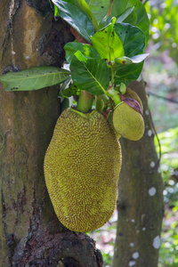 假面骑士平成世代 相关产品