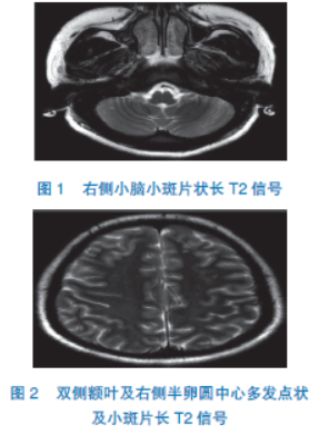 3D肉蒲团免费看 相关产品