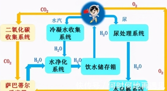 没有罩子让他捏了一节课 相关产品