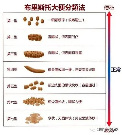 QVOD 图片区小说区电影 相关产品