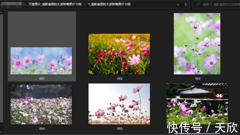 视频ddd 相关产品