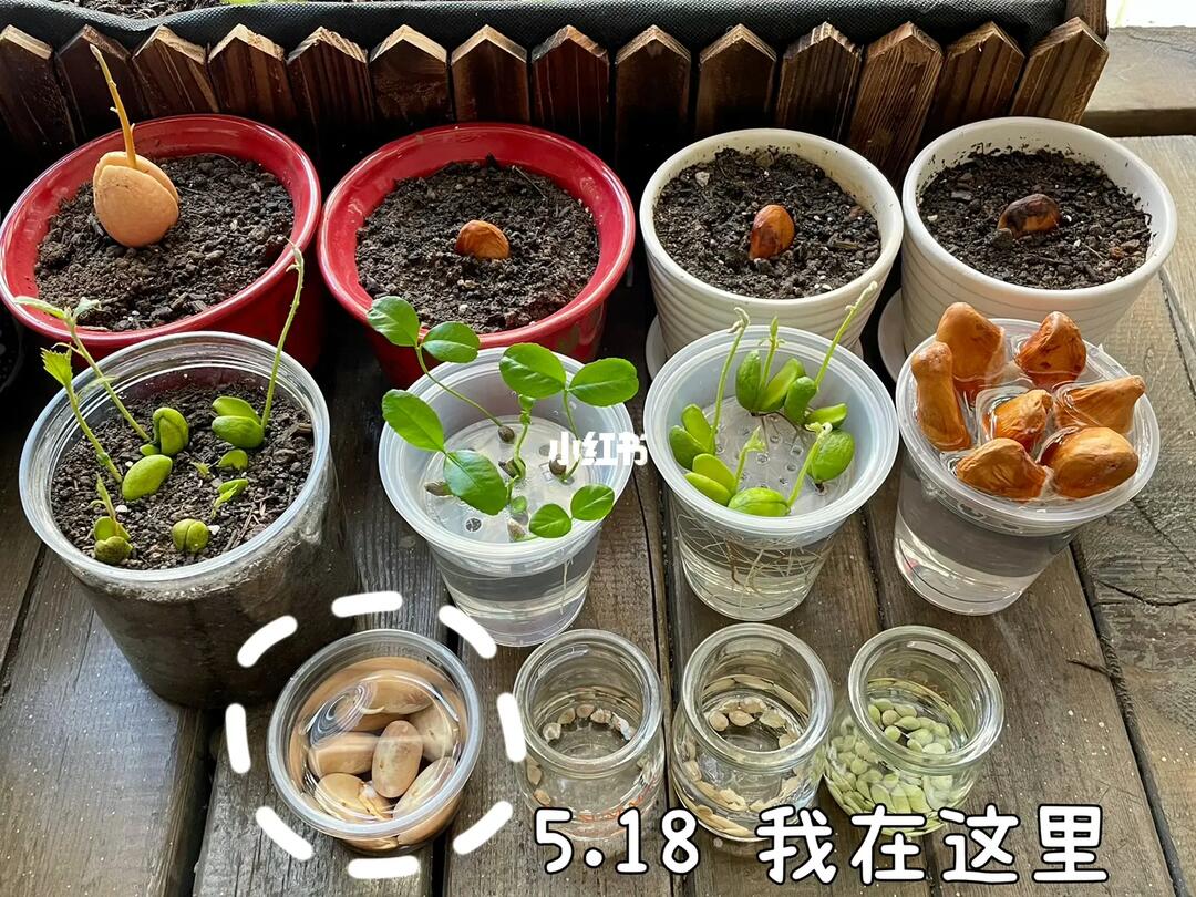 邻家有女韩剧在线观看国语 相关产品