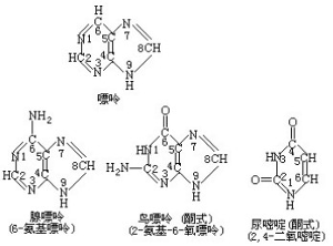 他悄悄溜进她的私信里 相关产品