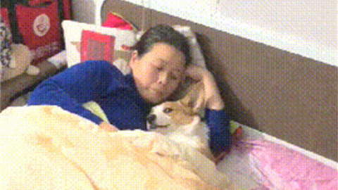 萝卜就叫黄片9.1 相关产品