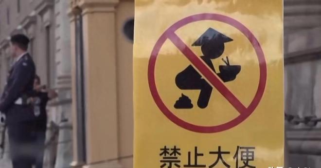 传承叶 产品图片