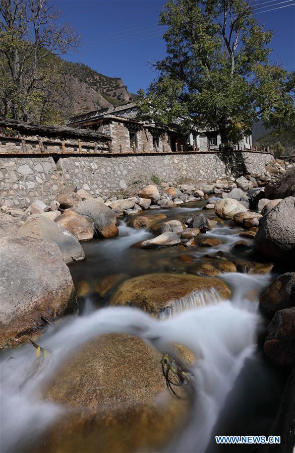 萝拉泷泽种子 ）萝拉泷泽萝拉泷泽与此同时