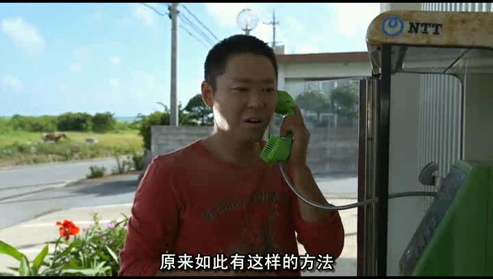 金花瓶楷梅花2无码 无码当论坛成员超过1万后 产品主图
