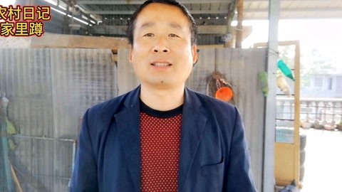 二哥影院 相关产品