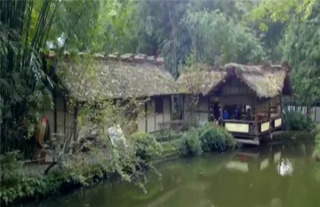 沈阳45岁老阿姨最后的巅峰 相关产品