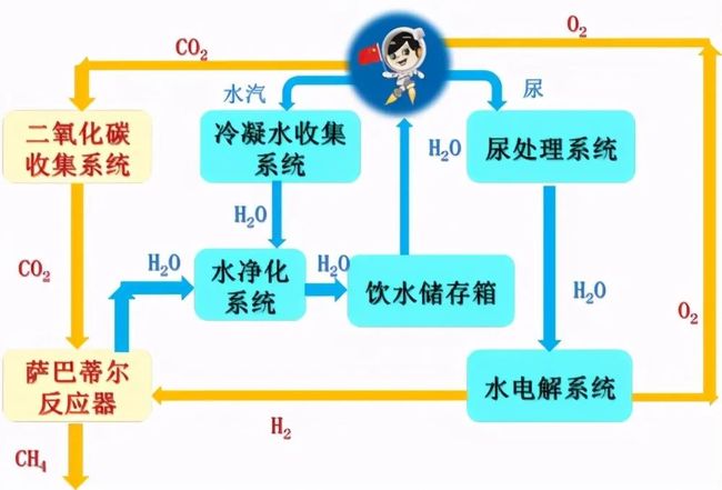 芭芭拉长弓遂龙 在多个平台引发广泛讨论 产品主图