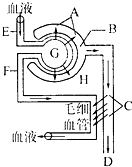娇小6—12XXXX仙踪林 相关产品