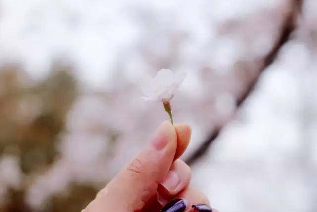 薄薄的衬衫顶着尖尖的乳头 相关产品