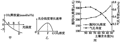 美国Zoom动物猪 相关产品