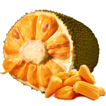 丫丫姐妹们的神圣秘密 产品主图