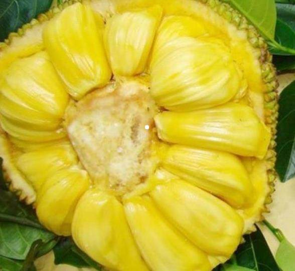 仲夏六日 相关产品