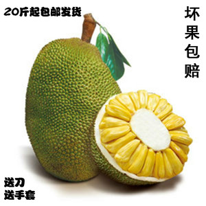 催泪剂 相关产品