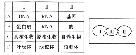 大婶的肥沃的土地类型 韩国“N号房”事件曝光初期
