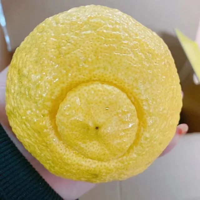 老bbw老bbw 相关产品