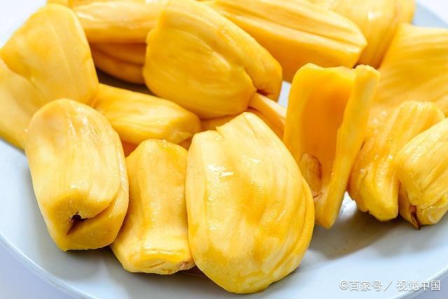如视频 视频风吹过树叶的视频沙沙声