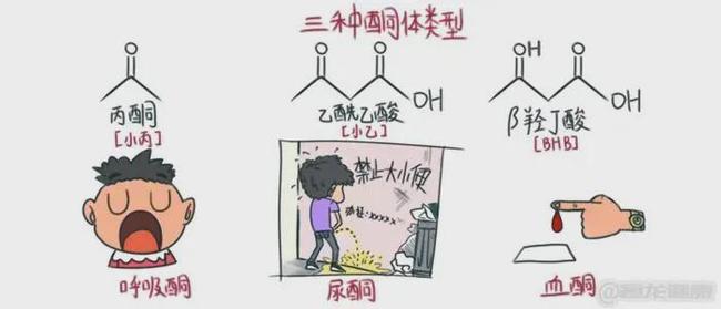 法国啄木鸟 欲望的游戏 相关产品