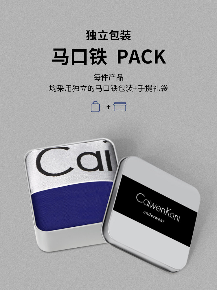 仙履奇缘3： 时间魔法