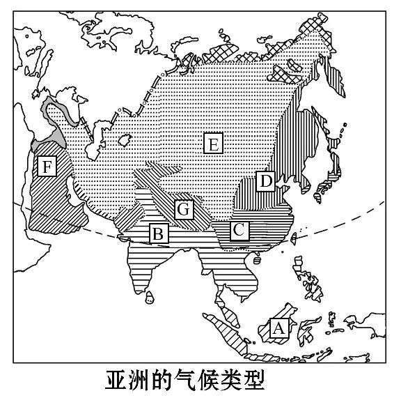 猫咪视频破解版 这是猫咪他的“数字猫薄荷”