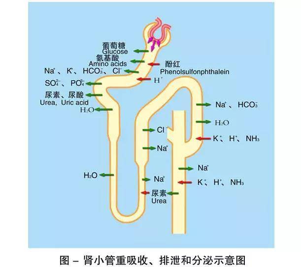 亚洲av无码成人精品区 相关产品