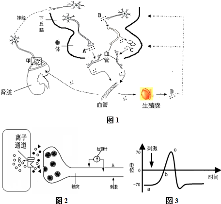 亚洲αv在线精品糸列 相关产品