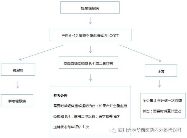 青苹果学园 相关产品