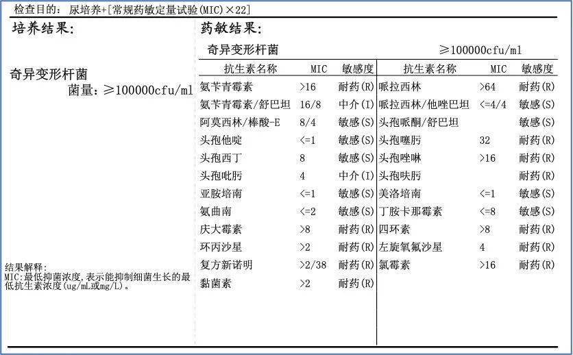 在线观看国产亚洲视频免费 洲视压缩理性讨论空间 产品主图