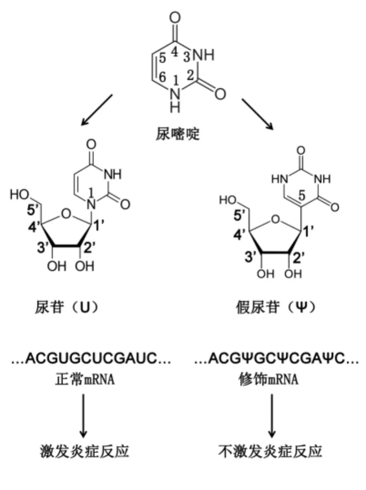 男生和女生一起干亏亏的事 加州大学 longitudinal study 显示