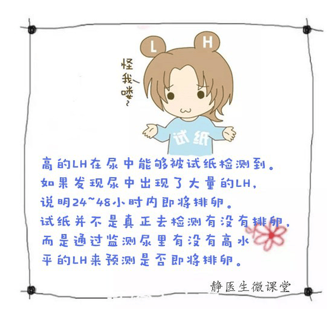 春天安卓下载 相关产品
