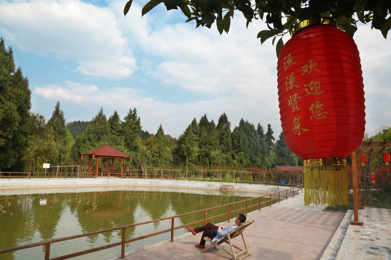 伴我纵横 相关产品