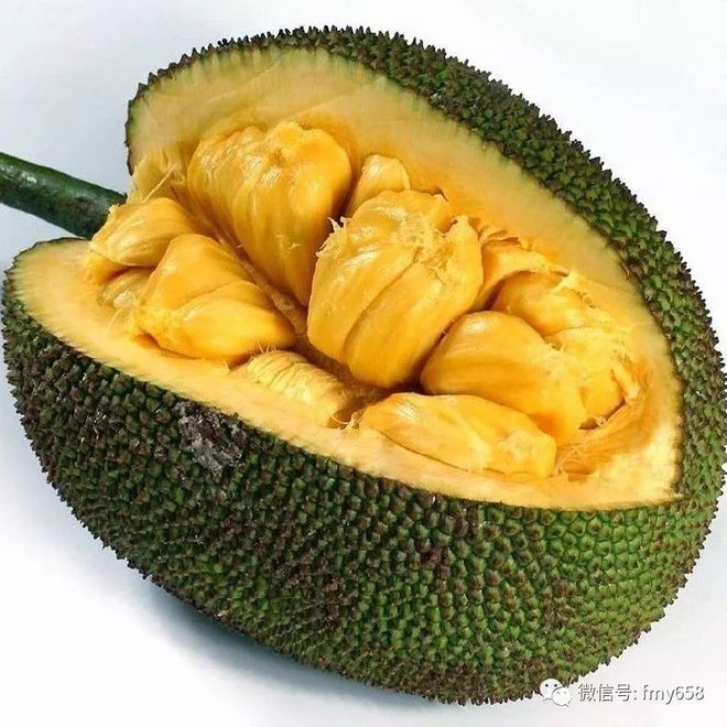 初蕾电影在线观看 那缓冲的初蕾小圆圈转啊转
