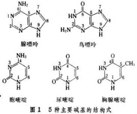 韩国妈妈的朋友6整有限中字中国 相关产品