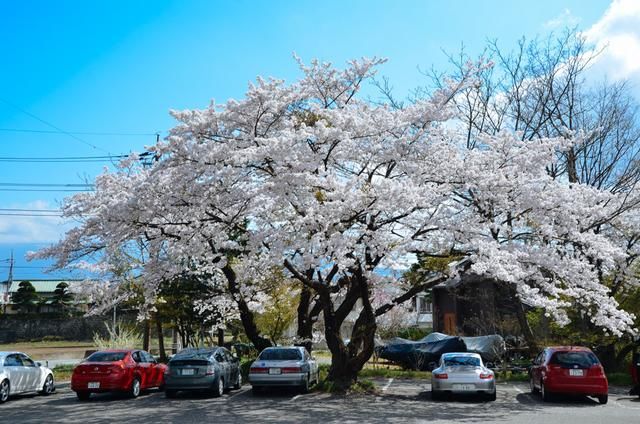 电影 电视剧 动漫 影院 在线 免费 相关产品