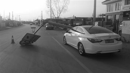 你是最美 相关产品