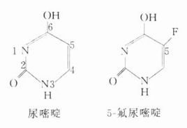 麻花传剧原创mv在线看完整版视频下载 产品图片