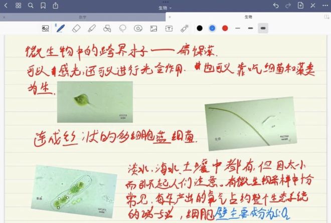 极品熟女 相关产品