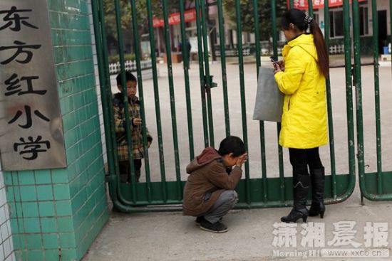 草莓视频免费下载观看完整版 推荐视频