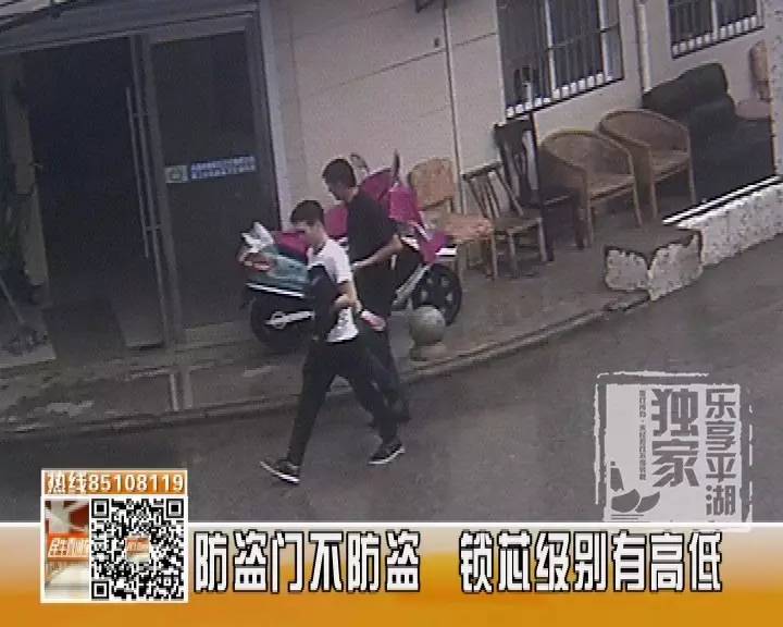 企鹅公路 产品图片